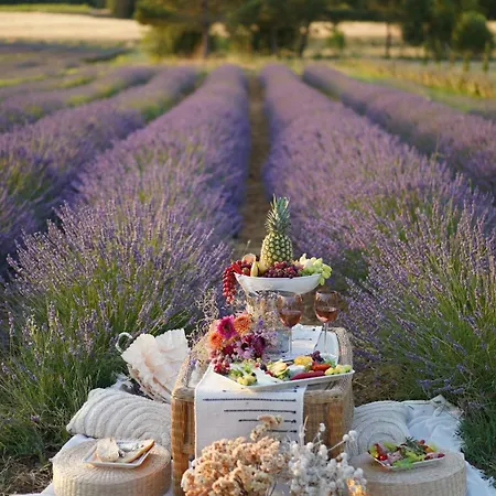 Domaine D'egenia Сasa de vacaciones Roussillon en Isere